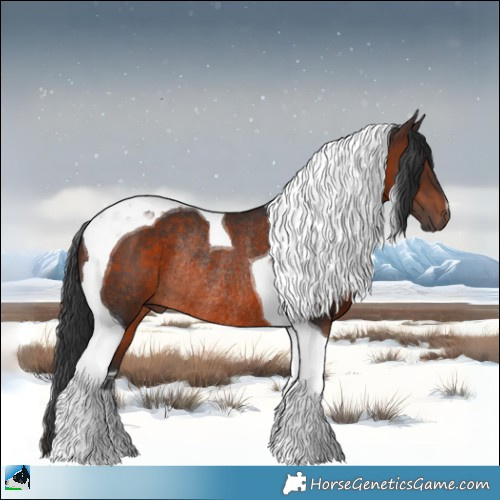 Horse Color:Brown Mushroom Tobiano Rabicano 