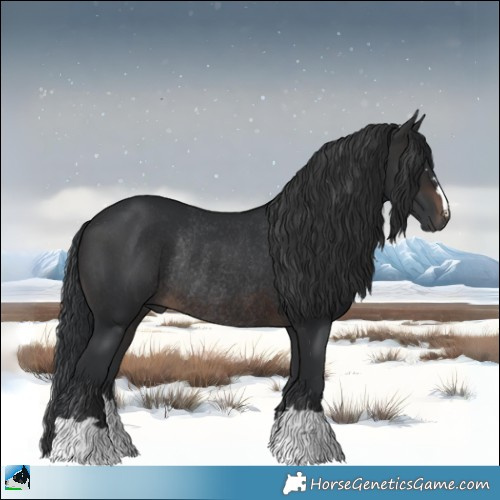 Horse Color:Brown Rabicano 