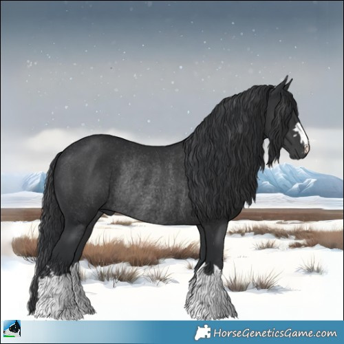 Horse Color:Black Mushroom Rabicano 