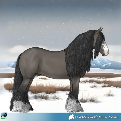 Horse Color:Grullo Mushroom Sabino 