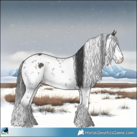 Horse Color:Grullo Sabino 