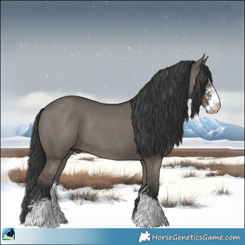 Horse Color:Grullo Sabino Rabicano 