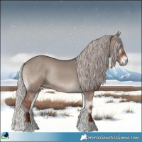 Horse Color:Silver Grullo Onyx Mushroom Rabicano 