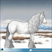 Horse Color:Grullo Onyx Sabino 