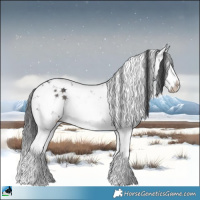 Horse Color:Grullo Mushroom Sabino Splash Rabicano Brindle 