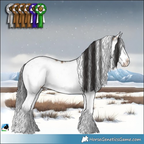 Horse Color:Brown Onyx Sabino Rabicano 