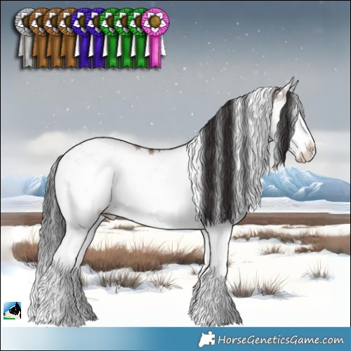 Horse Color:Brown Onyx Sabino Rabicano 