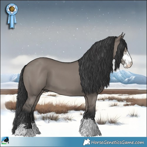 Horse Color:Grullo Mushroom Sabino 