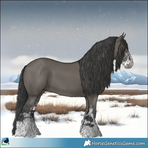 Horse Color:Grullo Sabino 
