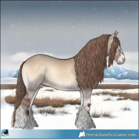 Horse Color:Liver Red Dun Onyx 