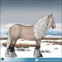 Horse Color:Liver Red Dun Mushroom Rabicano Brindle 