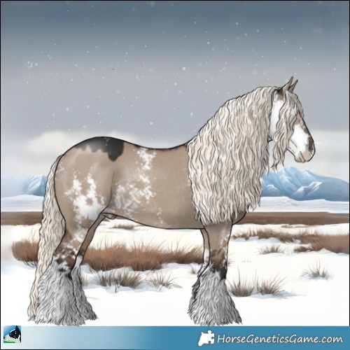 Horse Color:Liver Red Dun Mushroom Sabino Rabicano 