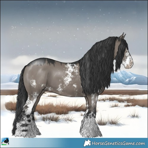 Horse Color:Grullo Mushroom Sabino 