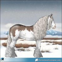Horse Color:Liver Red Dun Mushroom Sabino Splash 