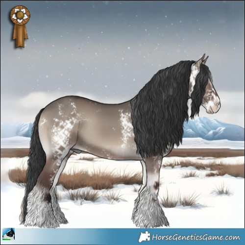 Horse Color:Grullo Onyx Sabino 