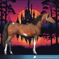 Horse Color:Bay Tobiano 