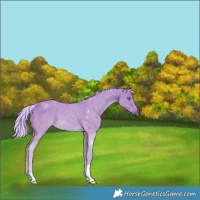 Horse Color:Watercolor Palomino 