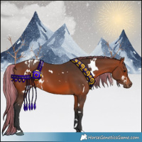 Horse Color:Painted White Spotted Bay 