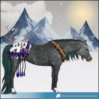 Horse Color:Painted Black Appaloosa 