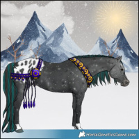 Horse Color:Painted Black Appaloosa 