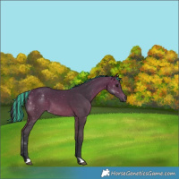 Horse Color:Painted Bay 