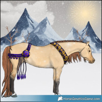 Horse Color:Painted Buckskin Dun 