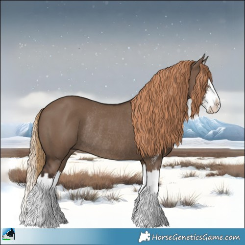 Horse Color:Liver Red Dun Sabino Splash Rabicano 