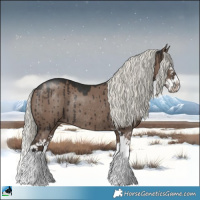 Horse Color:Liver Red Dun Mushroom Sabino Splash Rabicano Brindle