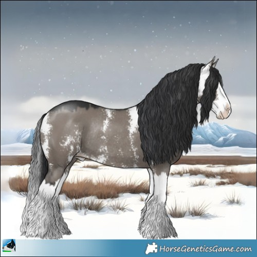 Horse Color:Grullo Mushroom Sabino Splash Rabicano 