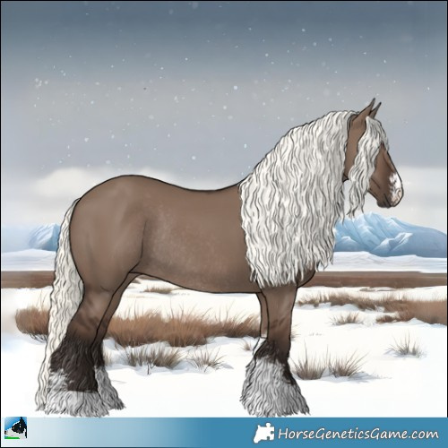 Horse Color:Liver Red Dun Mushroom Sabino Rabicano 