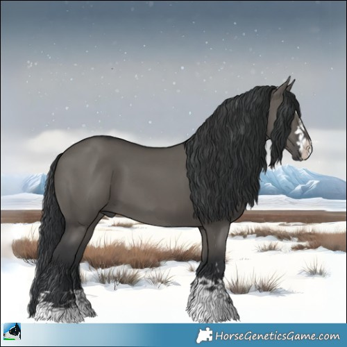 Horse Color:Grullo Mushroom 