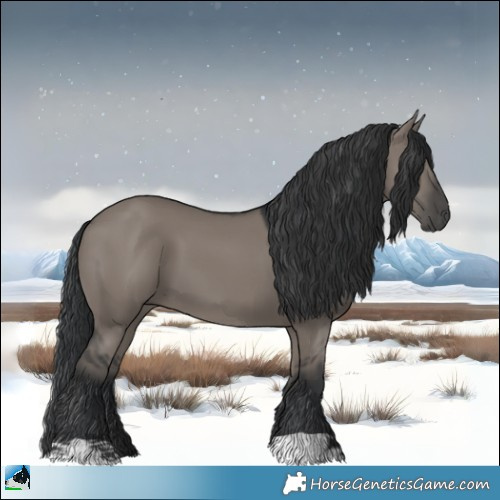 Horse Color:Grullo 