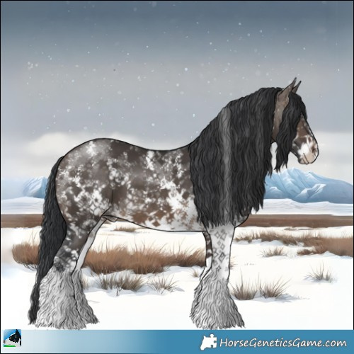 Horse Color:Brown Dun Sabino 