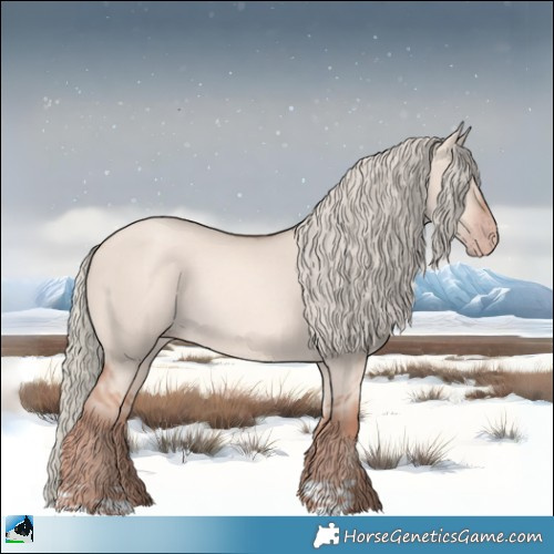 Horse Color:Gold Champagne Dun Mushroom Rabicano 