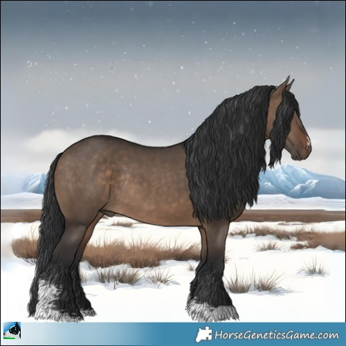Horse Color:Brown Dun Sabino Rabicano 