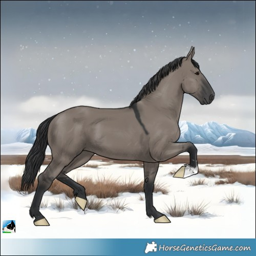 Horse Color:Grullo Mushroom 