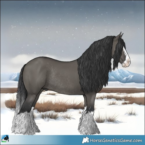 Horse Color:Grullo Mushroom Sabino Splash Rabicano 