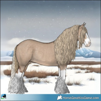 Horse Color:Liver Red Dun Sabino Splash Rabicano 