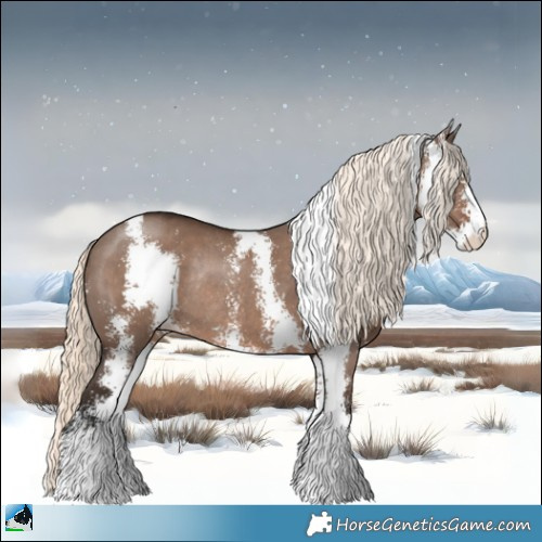 Horse Color:Liver Red Dun Mushroom Sabino Rabicano 