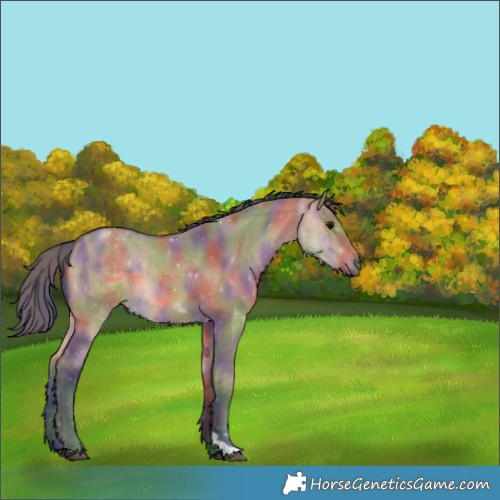 Horse Color:Nacre Bay Dun 