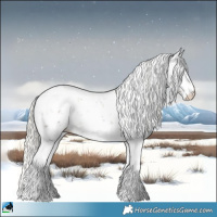 Horse Color:Liver Red Dun Mushroom Sabino Rabicano Brindle