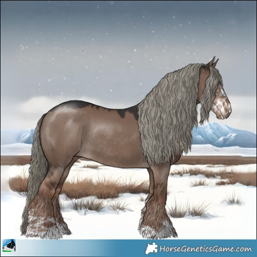 Horse Color:Liver Red Dun Mushroom Sabino Rabicano 