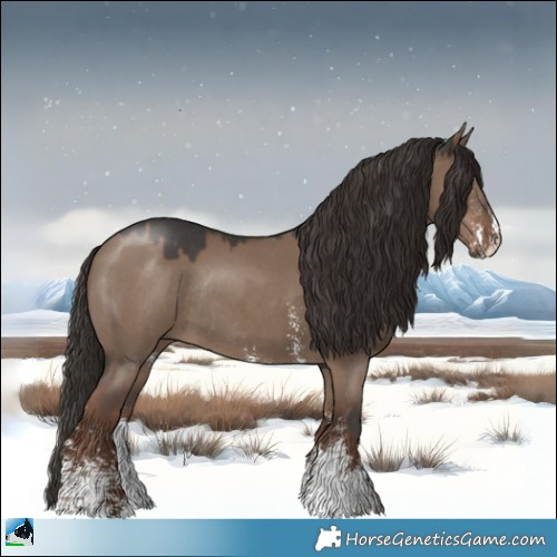 Horse Color:Liver Red Dun Sabino Rabicano 