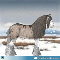 Horse Color:Liver Red Dun Mushroom Sabino Splash Rabicano Brindle