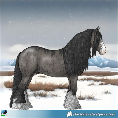 Horse Color:Grullo Sabino Rabicano Brindle 