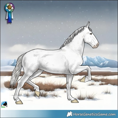 Horse Color:Liver Red Dun Mushroom Sabino Rabicano 