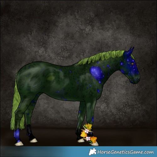 Horse Color:ERROR: UNKNOWN ANOMALY