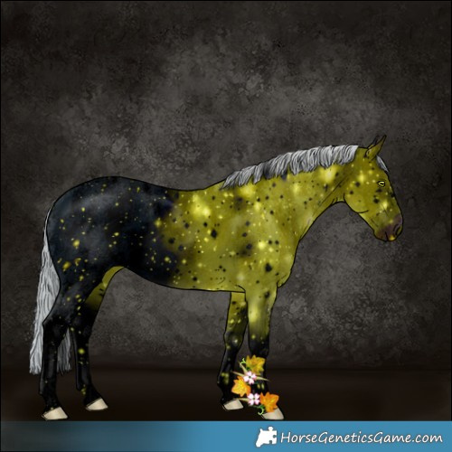 Horse Color:ERROR: UNKNOWN ANOMALY
