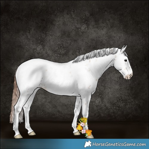 Horse Color:Brown Pearl Onyx Sabino 