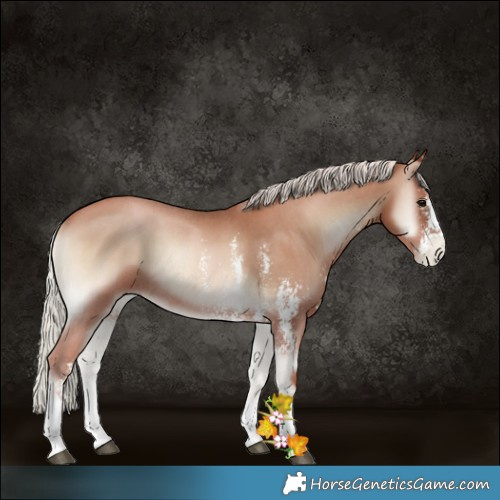 Horse Color:Silver Blue Onyx Pearl Sabino Rabicano 
